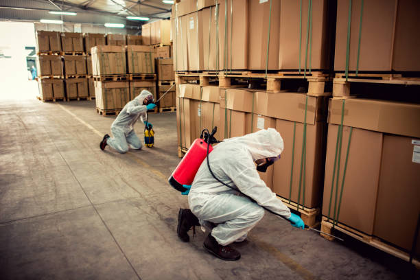 Professional Pest Control in Tyler, TX