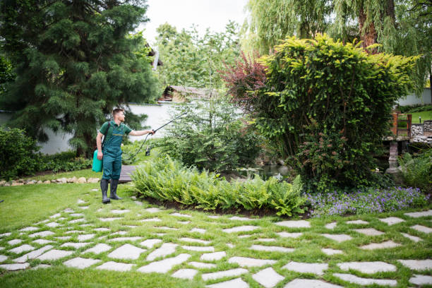 Best Ant Control Services  in Tyler, TX