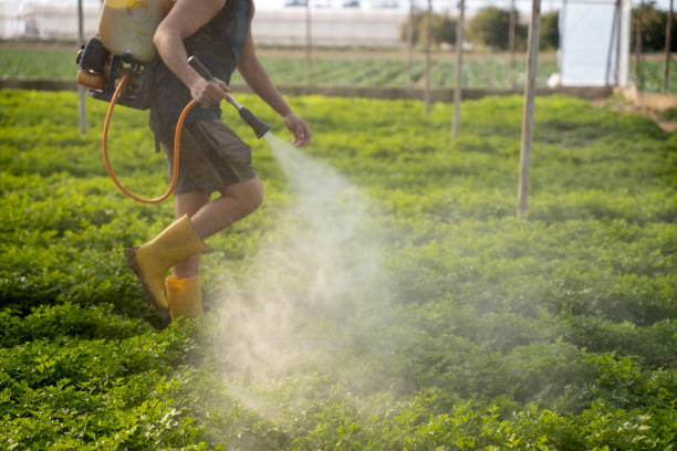 Pest Control for Restaurants in Tyler, TX